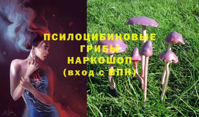 Псилоцибиновые грибы MAGIC MUSHROOMS  Болгар 